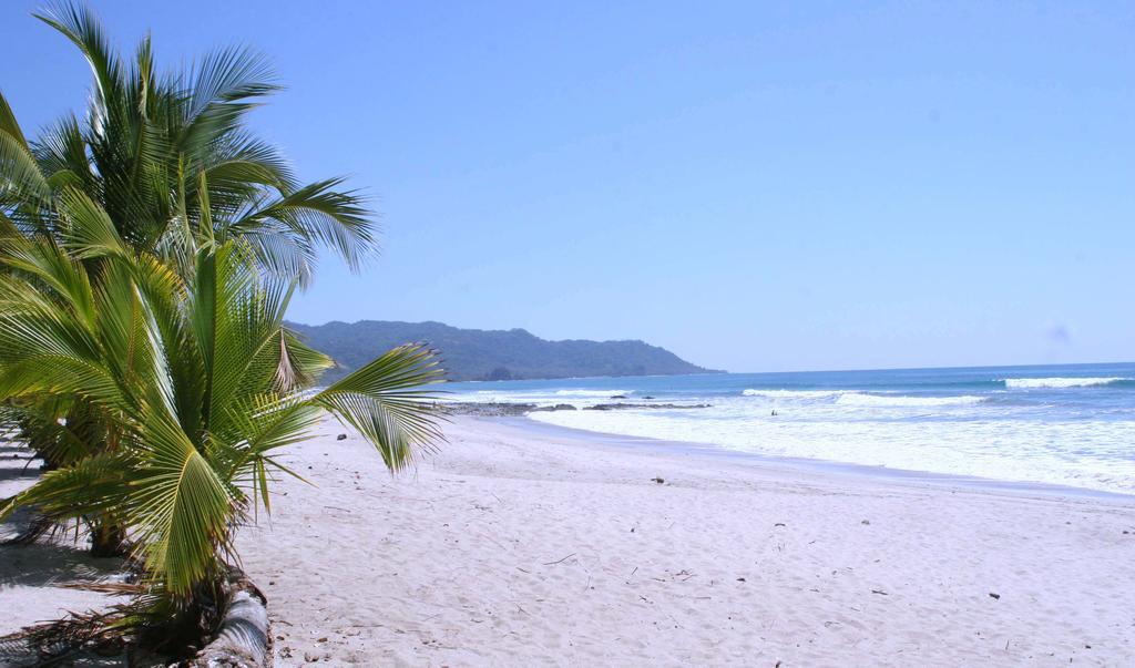 Plaza Royal Apartments Playa Santa Teresa  ภายนอก รูปภาพ